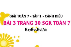 Giải bài 3 trang 30 Toán 7 Tập 1 SGK Cánh Diều